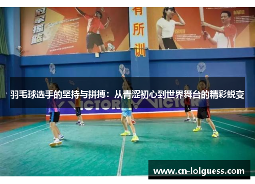 羽毛球选手的坚持与拼搏：从青涩初心到世界舞台的精彩蜕变
