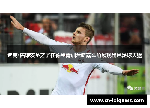 迪克·诺维茨基之子在德甲青训营崭露头角展现出色足球天赋