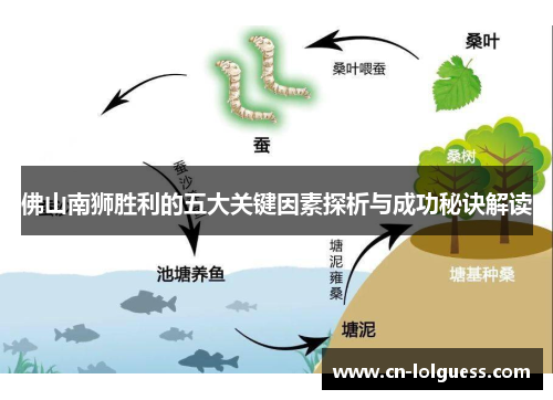 佛山南狮胜利的五大关键因素探析与成功秘诀解读