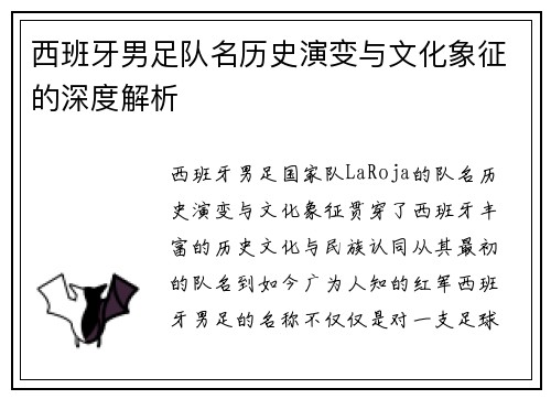 西班牙男足队名历史演变与文化象征的深度解析